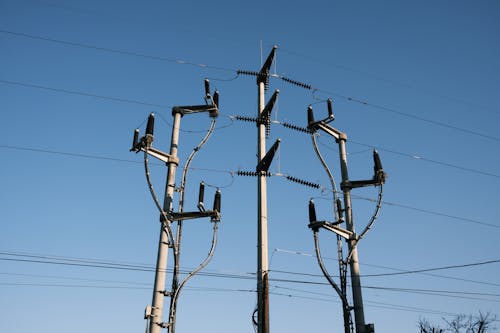 Posts with Electrical Cables