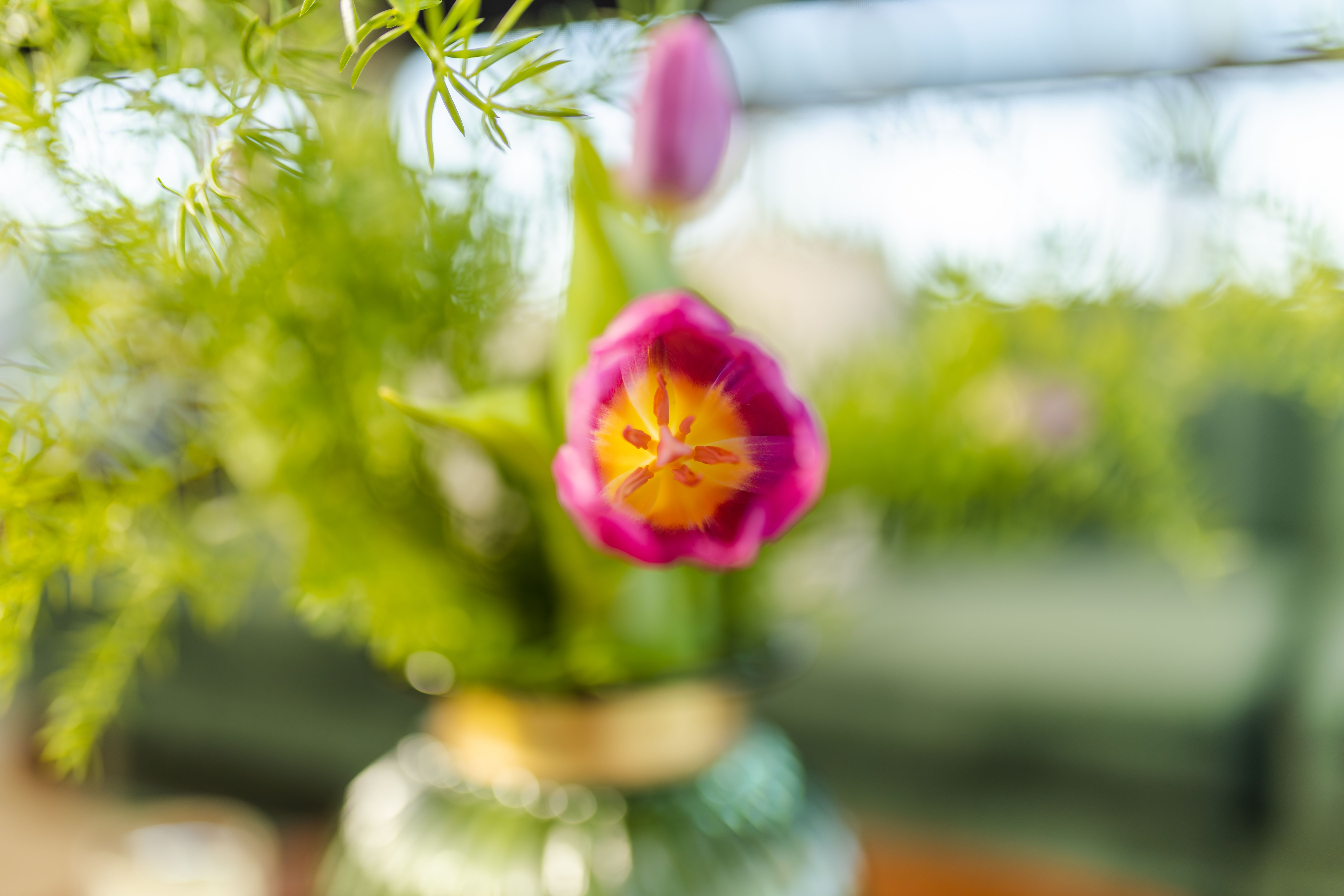 Firmaevents og blomsterdekoration