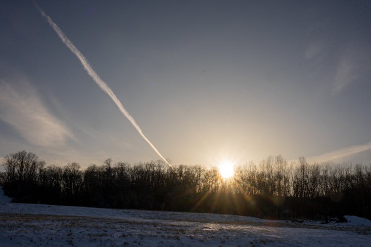 Winter Sun Over Tree Line