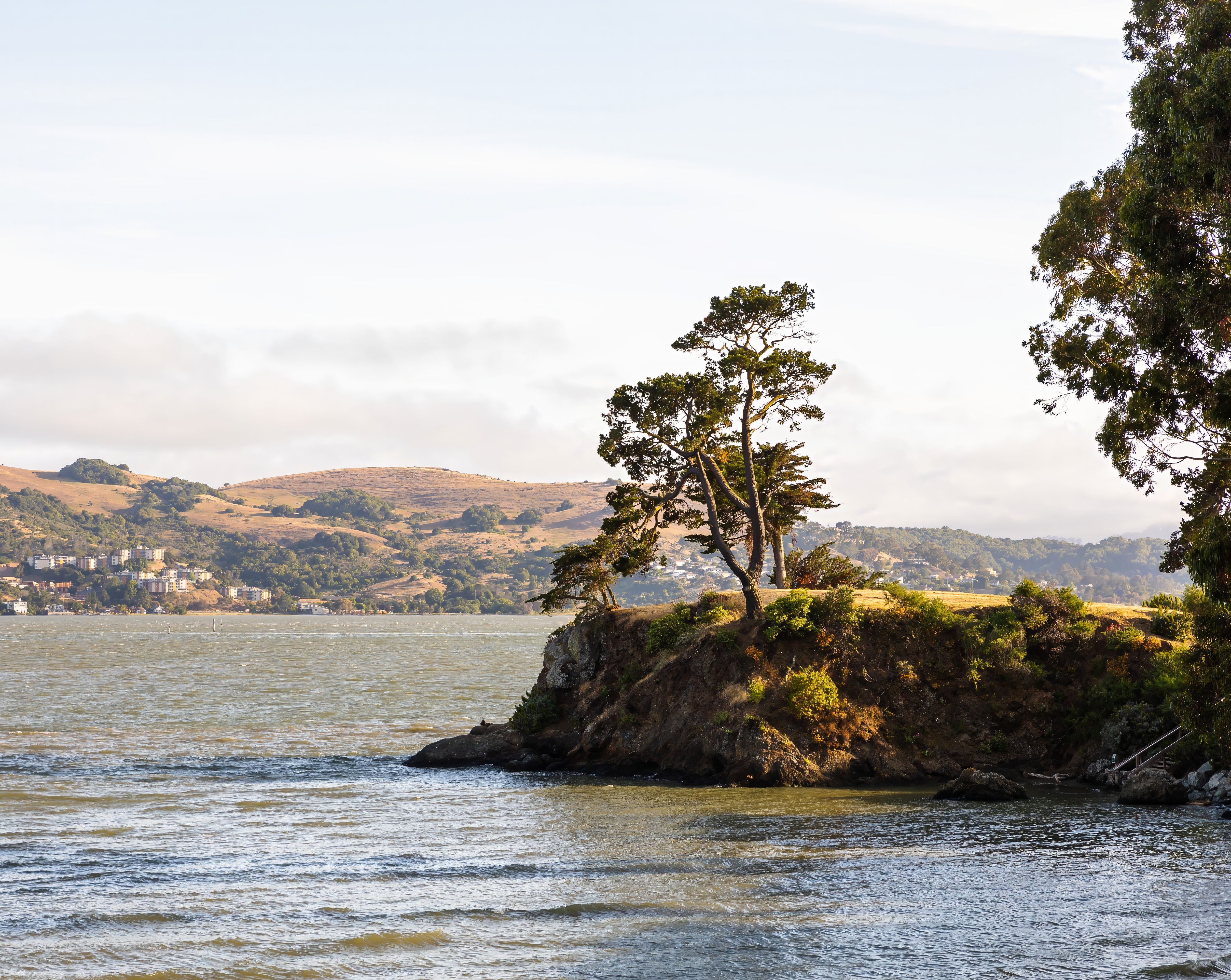 Peaceful lakeside scene with trees on a rocky cliff under soft morning light.
