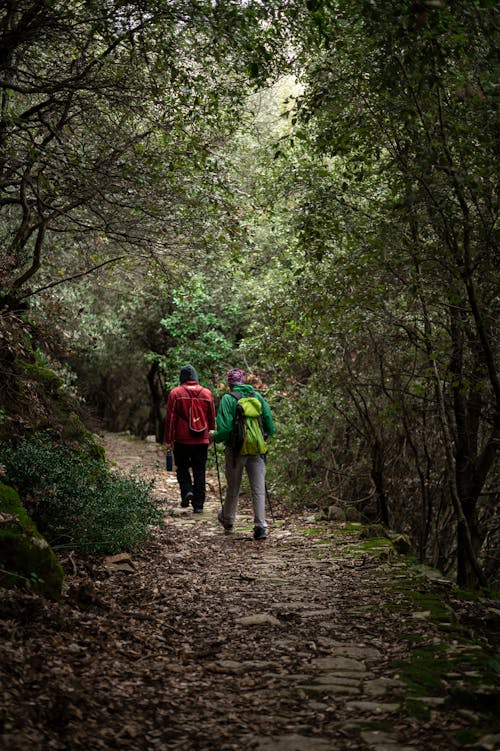 People with Backpacks Hiking on a Park Footpath