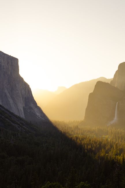 Morning light on granite cliffs and pine forest in Yosemite National Park