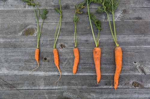 Free stock photo of carrots, food, food photography