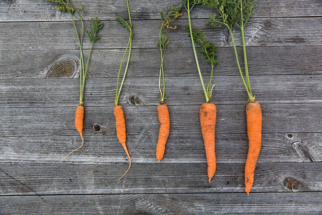 Gratis Immagine gratuita di carote, cibo, foglie Foto a disposizione