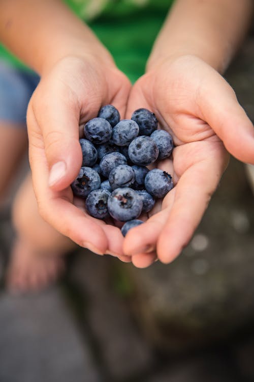 Ücretsiz çalı meyveleri, eller, Gıda içeren Ücretsiz stok fotoğraf Stok Fotoğraflar