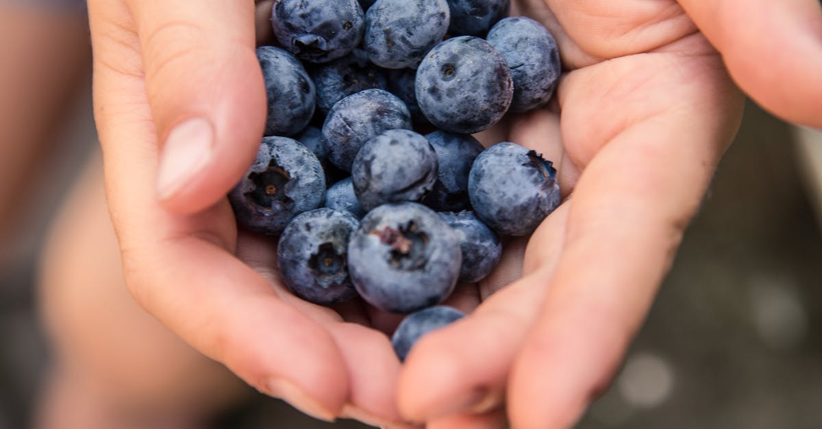 綠色生活新趨勢 打造食物森林 懶人農法輕鬆向自然偷師