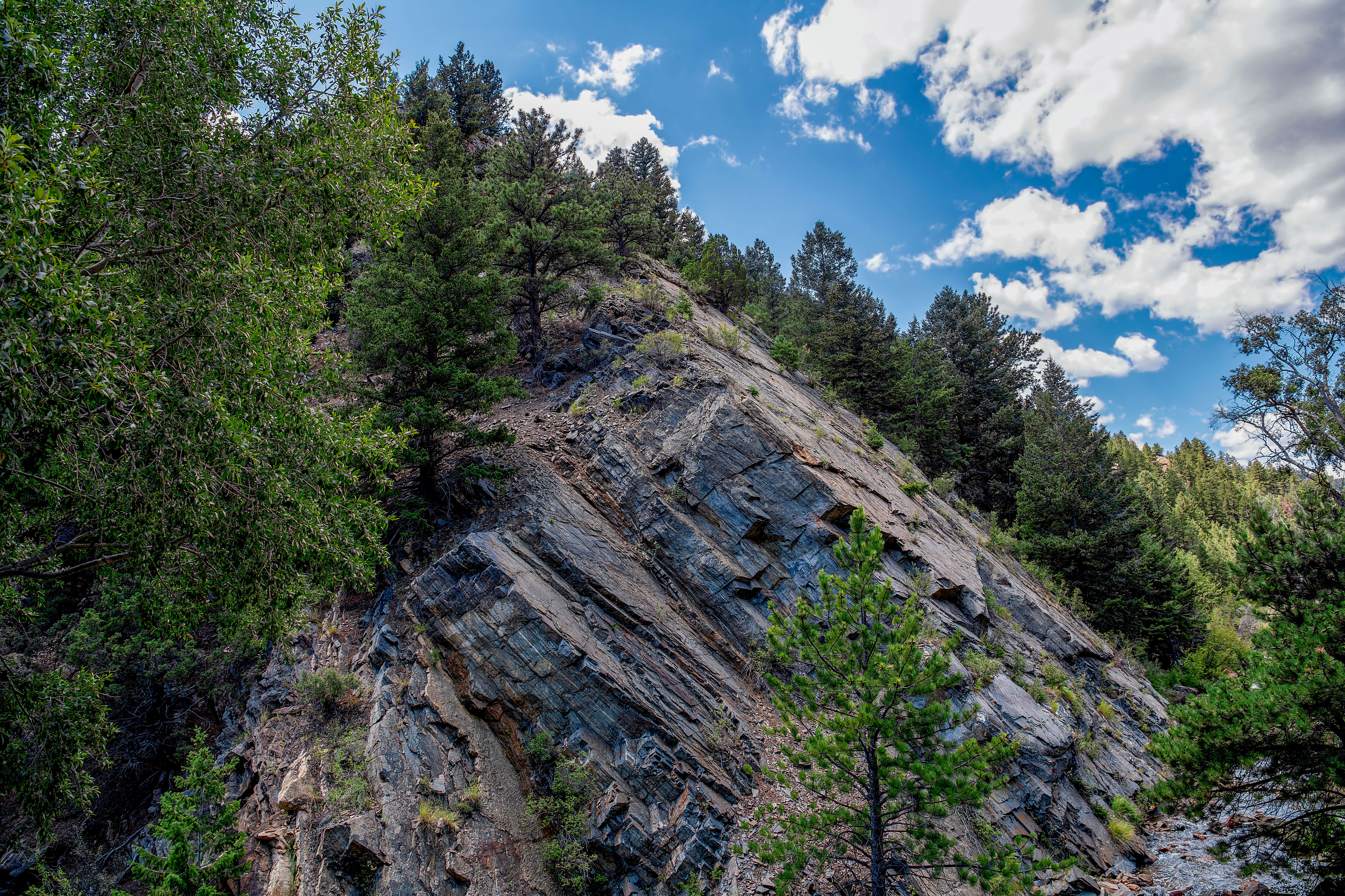 Trees around Rocks on Hill · Free Stock Photo