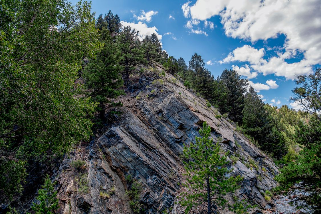 Mike Trees Rocks Trees around Rocks on Hill · Free Stock Photo