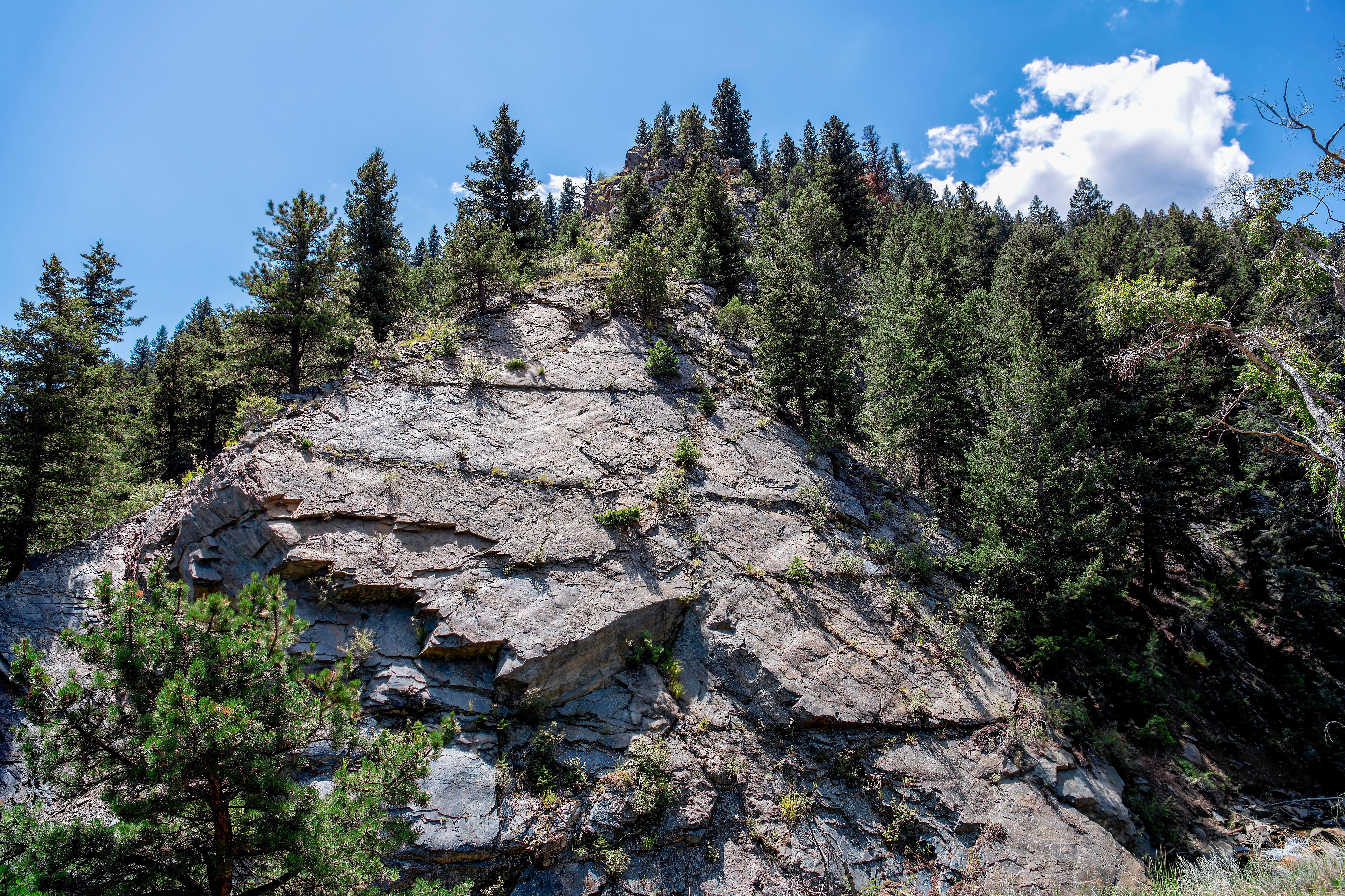 Trees on Hill with Rocks · Free Stock Photo