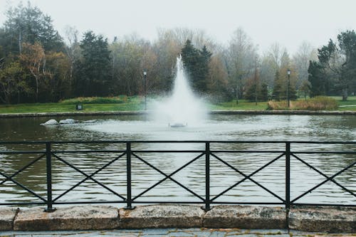 Základová fotografie zdarma na téma bazén, fontána, park