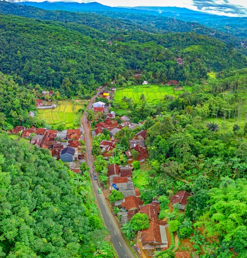 Aerial Photo of Houses Near Road Surrounded by Forest