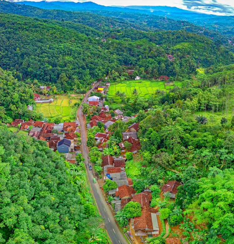 Aerial Photo Of Houses Near Road Surrounded By Forest