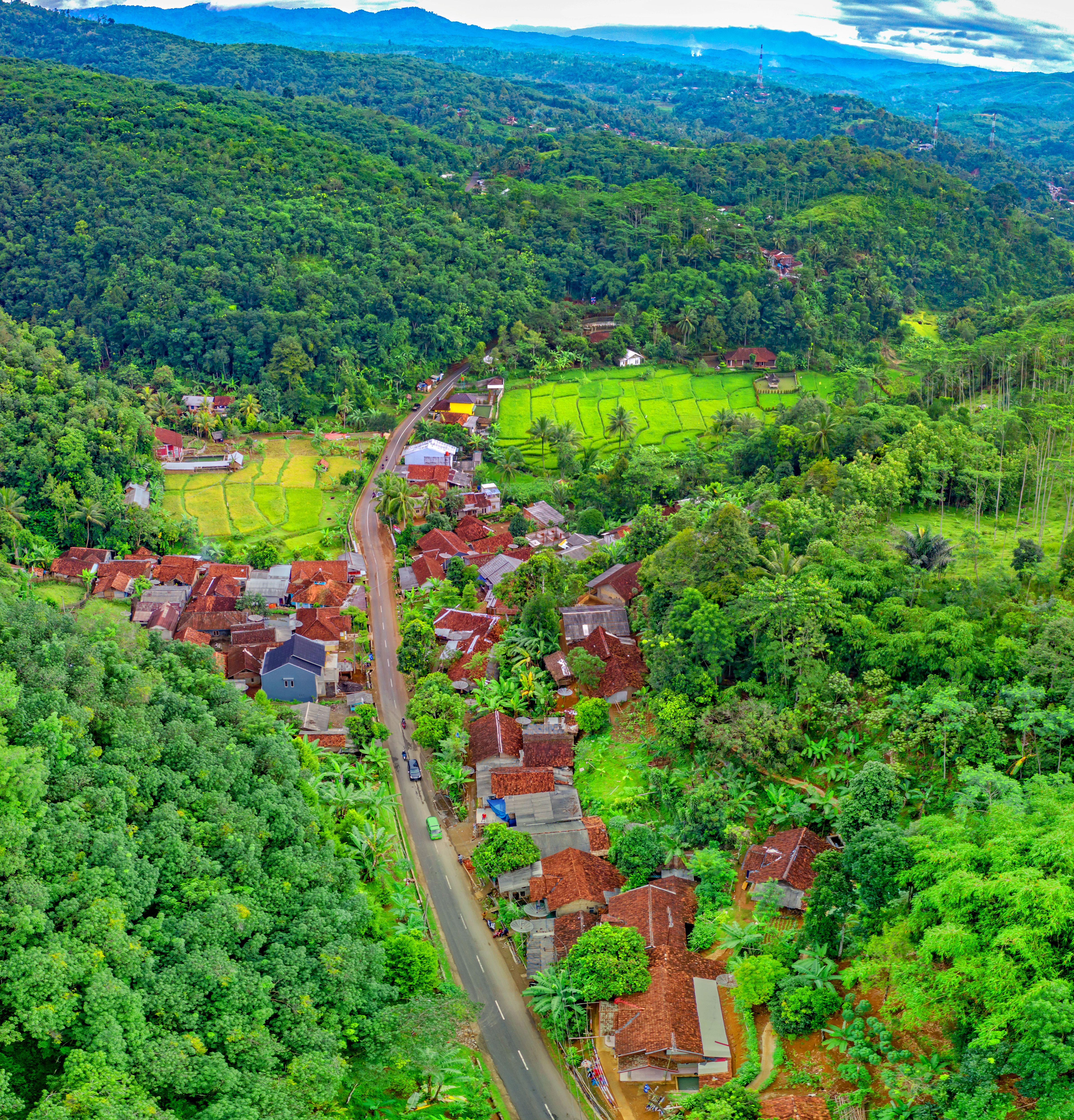 Aerial Photo of Houses Near Road Surrounded by Forest · Free Stock Photo