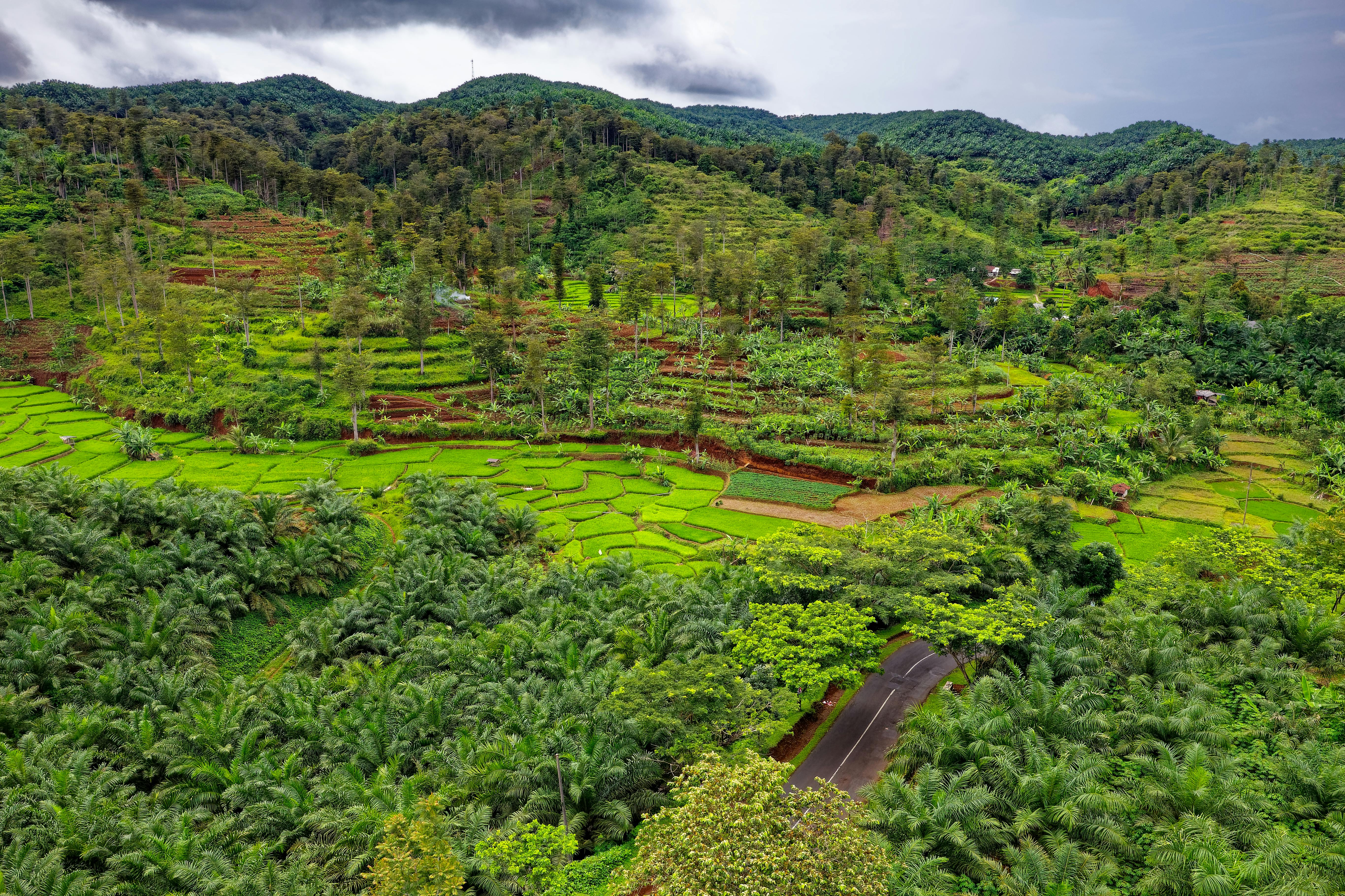 印度尼西亚西爪哇省锡基当的郁郁葱葱绿色景观和梯田鸟瞰图