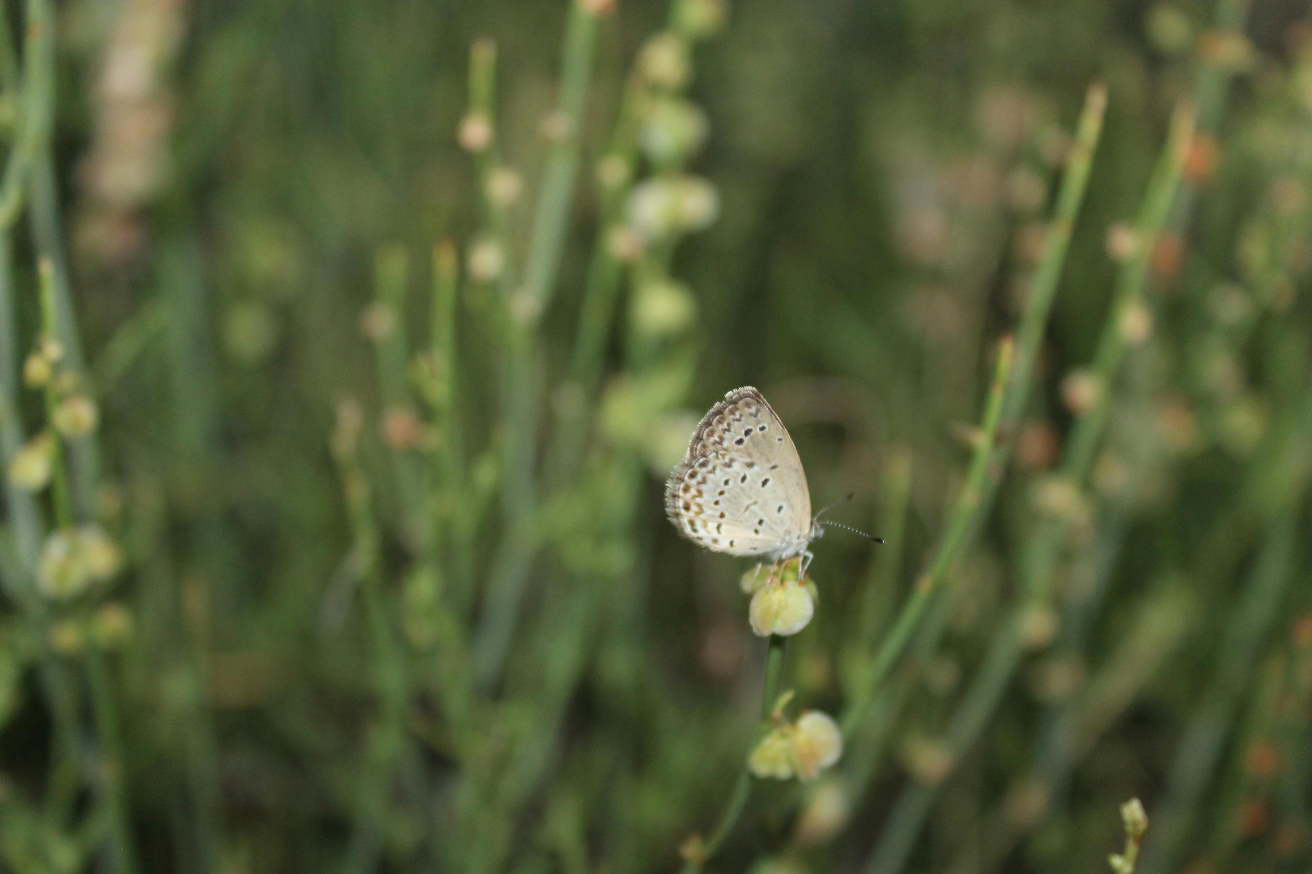 Person looking tired and stressed at a desk with cluttered snacks
