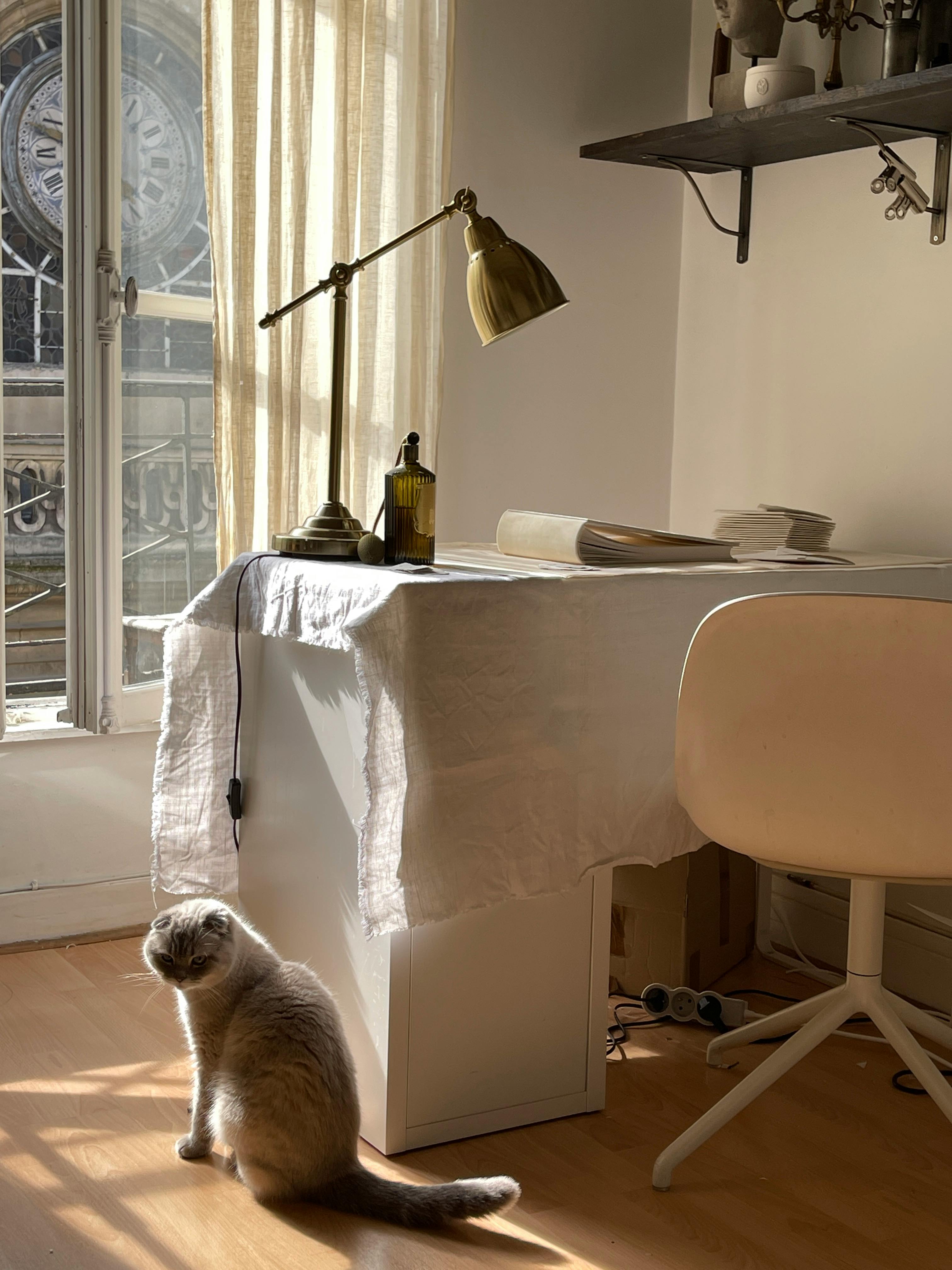 Sunlit desk with a cat in a Paris-inspired room, ideal for comfort and style.
