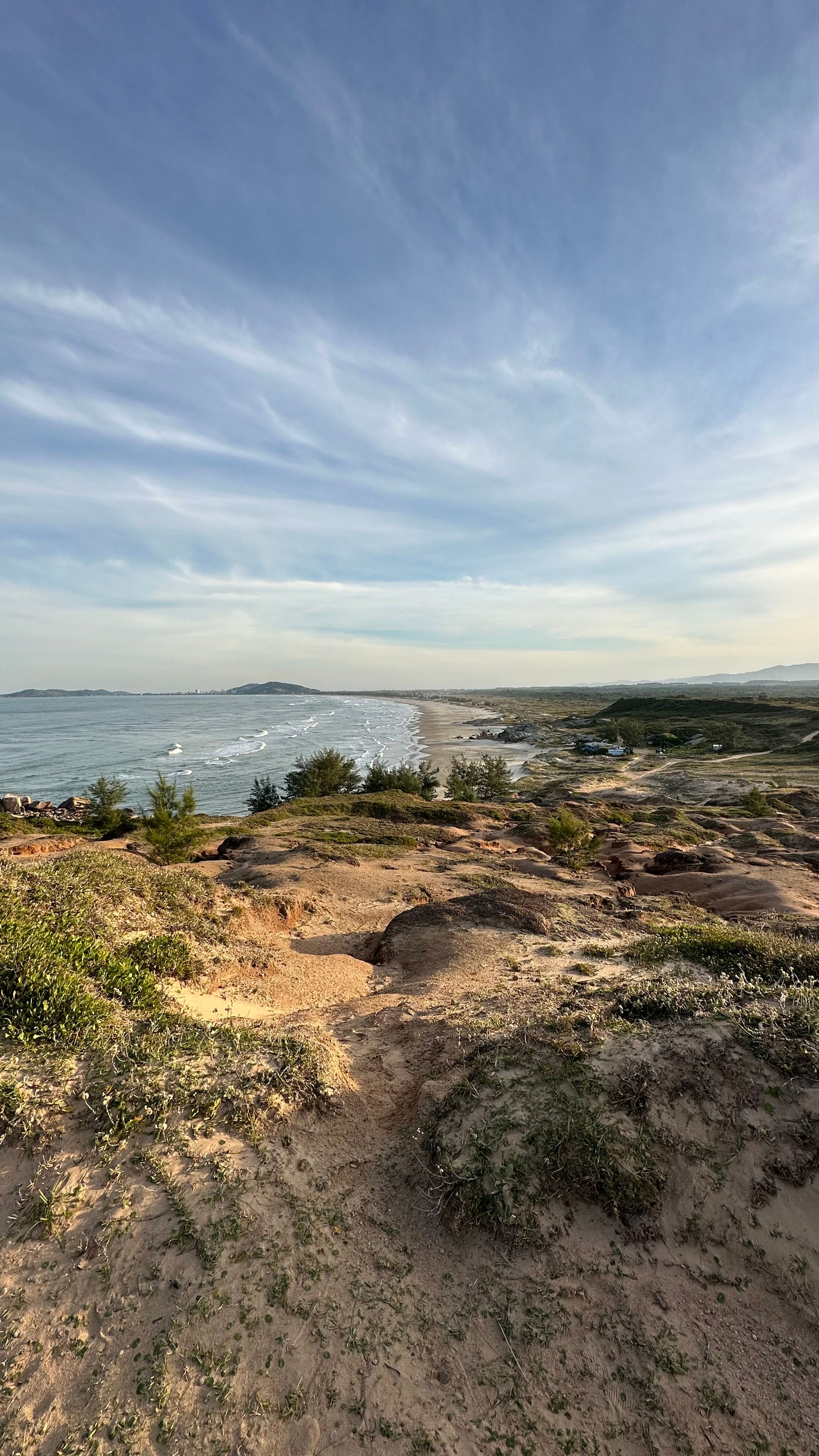 A peaceful view of a sandy coastline with grassy dunes and a serene sea under a blue sky.