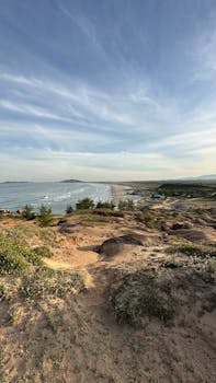 A peaceful view of a sandy coastline with grassy dunes and a serene sea under a blue sky.