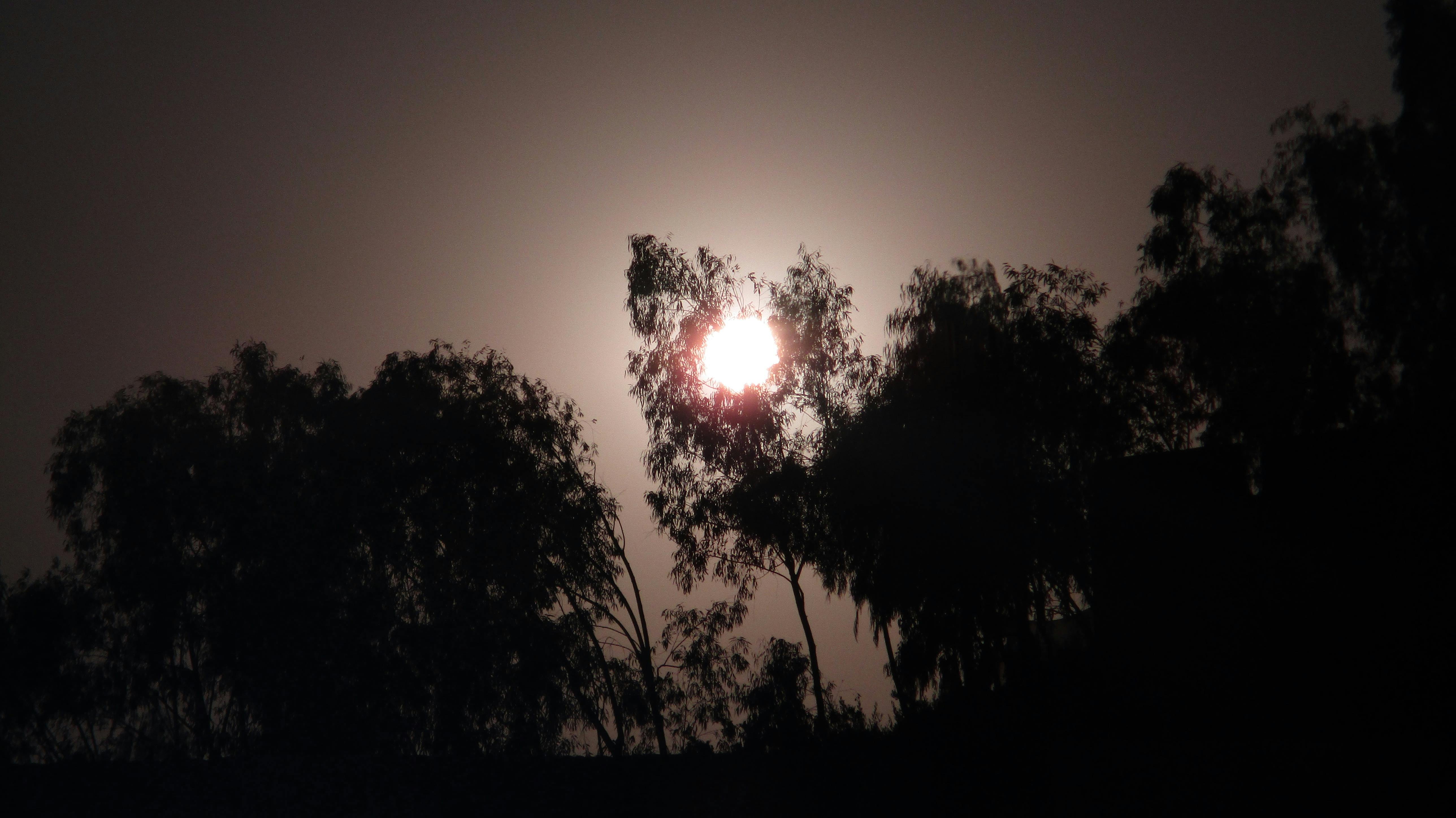 خريطة المعارض