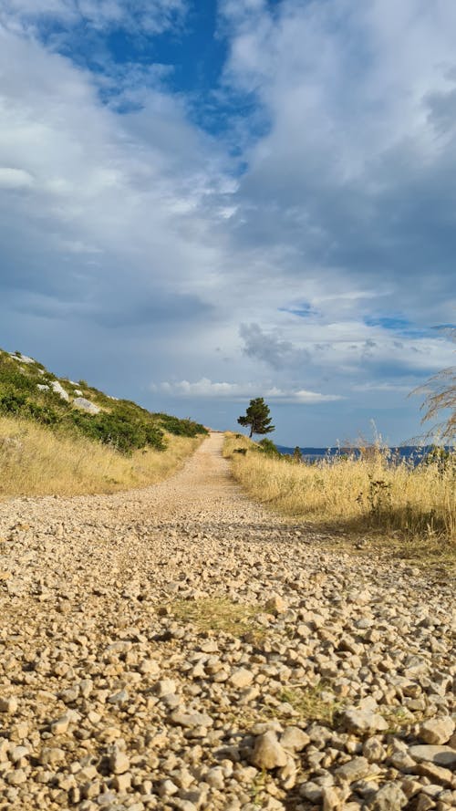 Pebbles on Dirt Road in Countryside