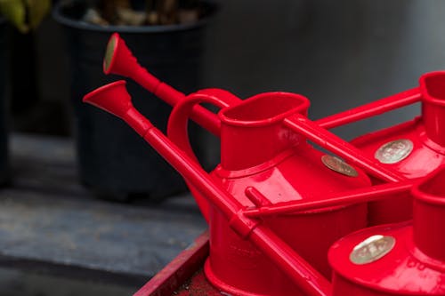 Close up of Watering Cans 