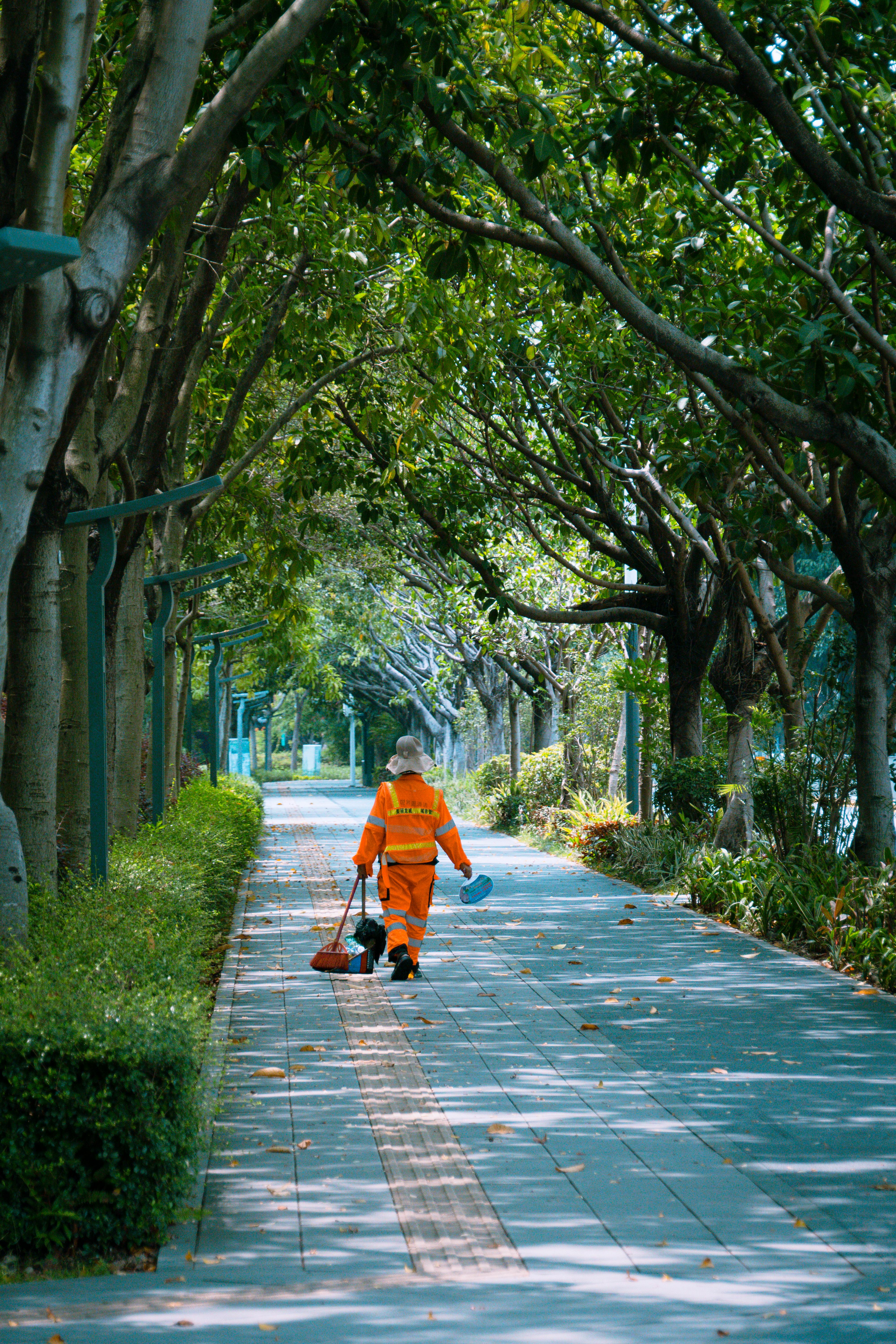 Drain Cleaner Photos, Download The BEST Free Drain Cleaner Stock Photos