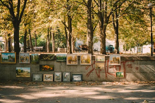 Fotos de stock gratuitas de arboles, Arte, calle