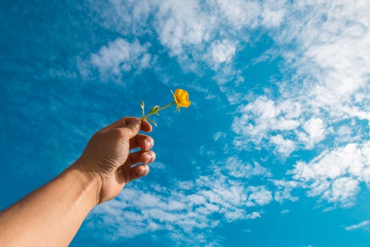 一只握着朵小黄花的手，映衬着云层散落的、充满活力的蓝天