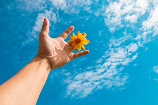 手握一朵亮黄色的花，以纹理丰富的蓝天为背景，唤起一种自由自然的感觉