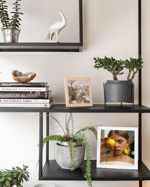 wall art prints displayed on a shelf