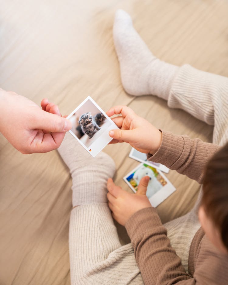 Parent And Child Hands Holding Kitten Picture