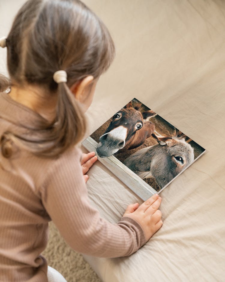 Girl Holding 3D Poster With Donkeys