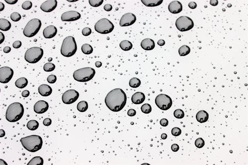 Free Droplets on White Background Stock Photo
