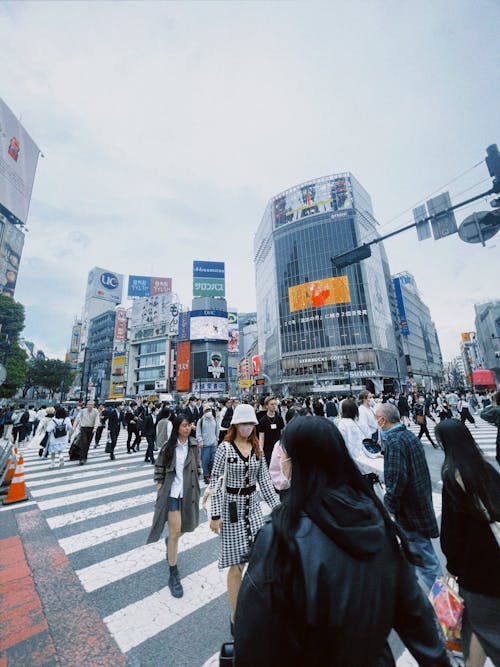 Crowd on a Pedestrian Crossing in Tokyo 