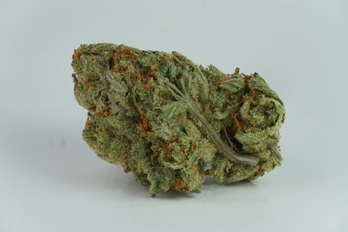 Free Amnesia Haze Mokeyz Stock Photo