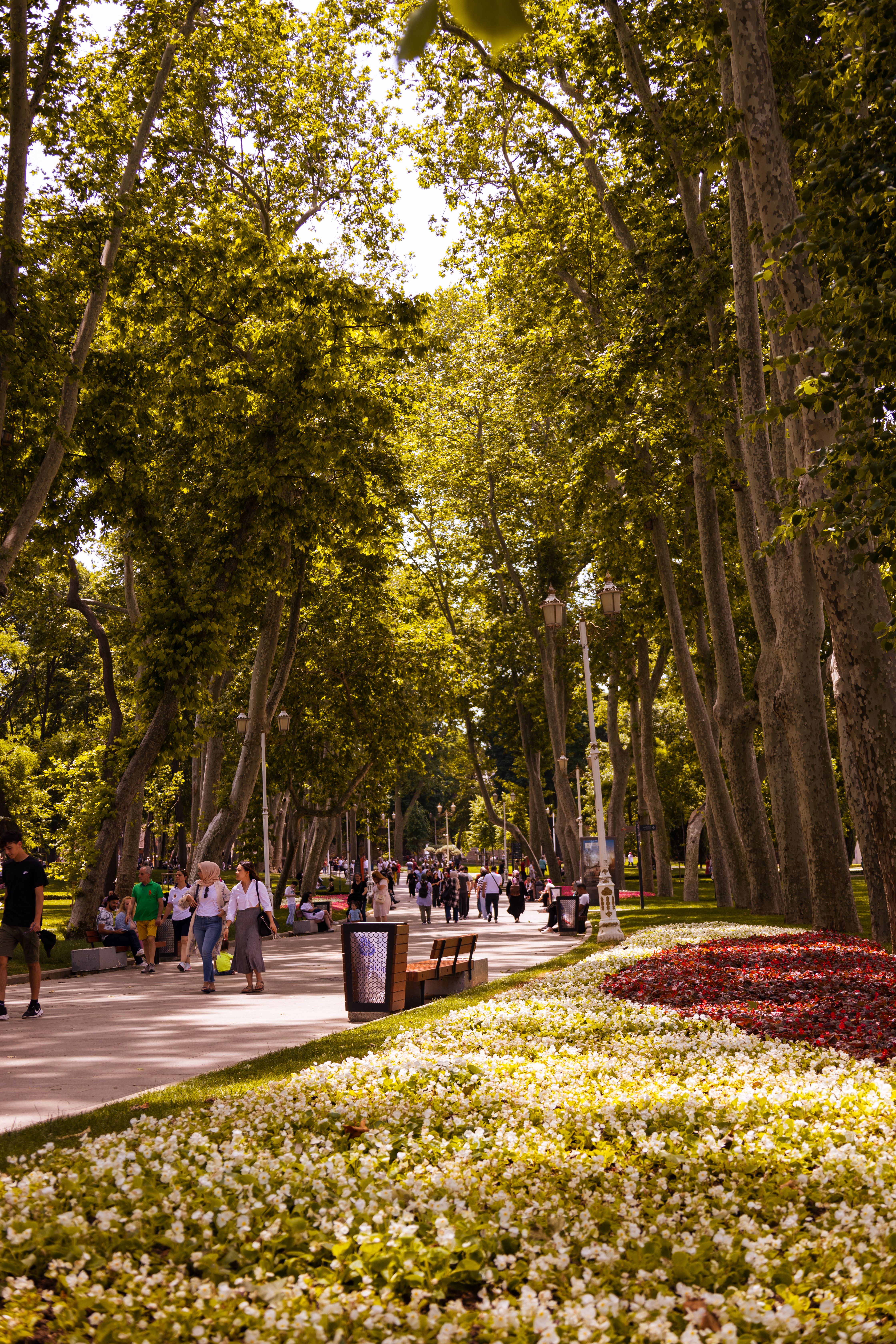 People Walking in a City Park · Free Stock Photo