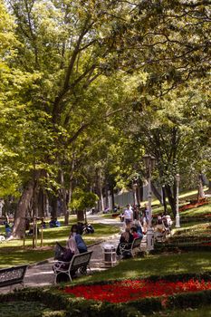 People relaxing on benches in a green city park on a sunny day.