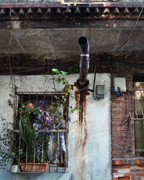 건물 외장, 수직 쐈어, 실내용 화초의 무료 스톡 사진