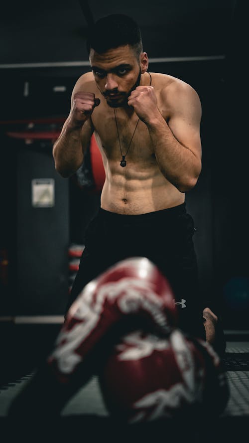 Kostnadsfri bild av boxare, boxning, fitness