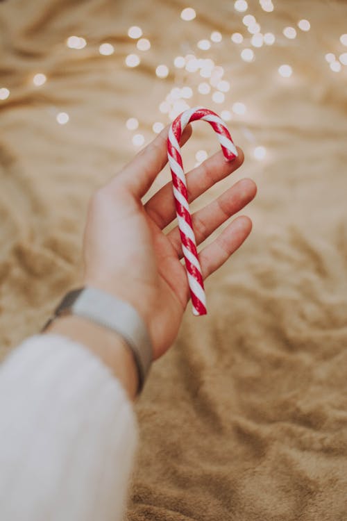 Person Holding Candy Cane