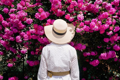 Woman Among Pink Flowers