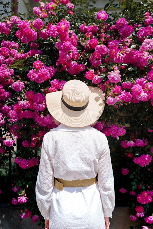 Woman Among Pink Flowers
