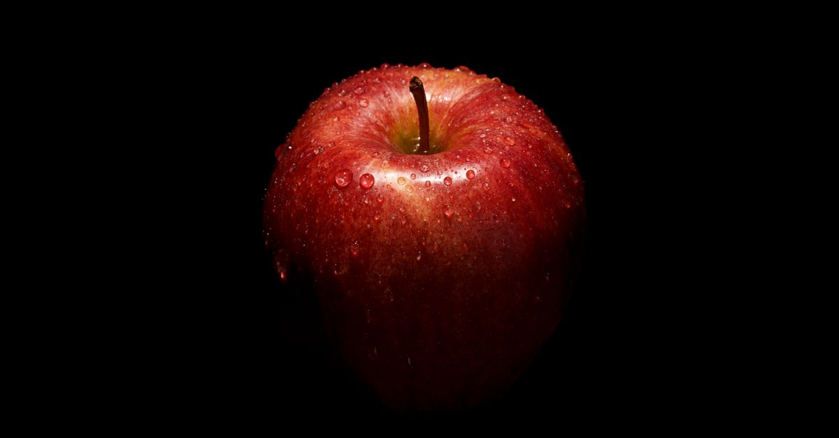 Fondateurs Apple : Histoire Jobs et Wozniak