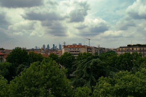 High Angle View of Trees and City 