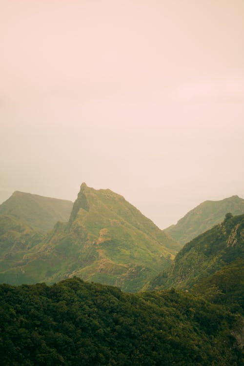 Základová fotografie zdarma na téma hora, kopce, mlha