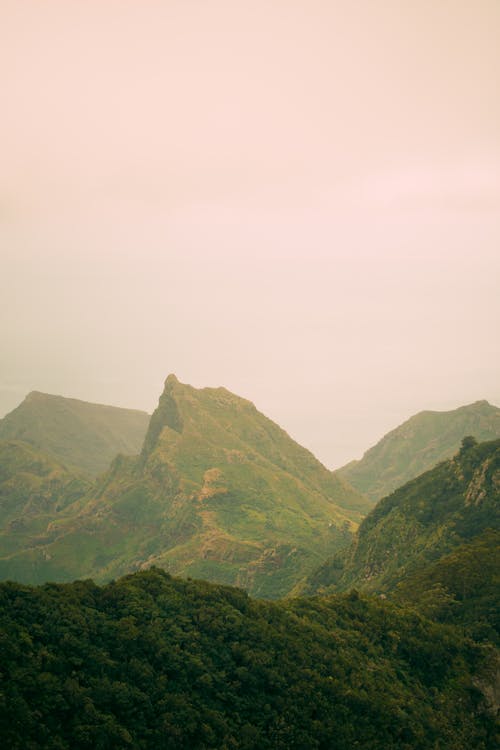 Mountain Valley in Mist