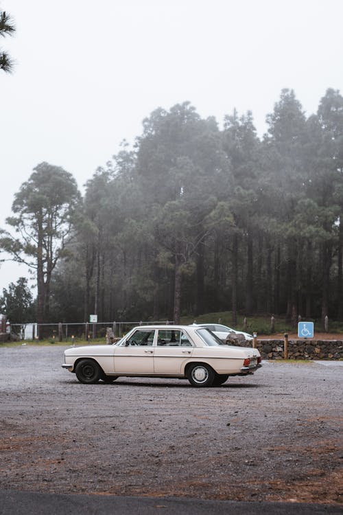 Ivory Mercedes-Benz W115 on the Parking Lot