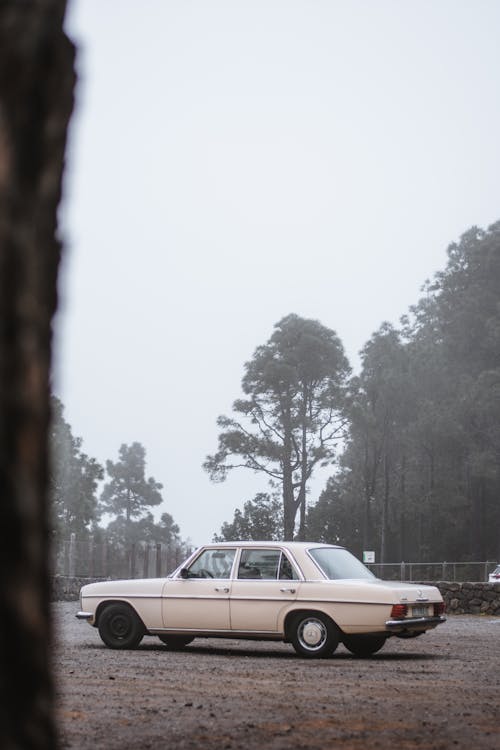 Classic Mercedes-Benz W115 in a Parking Lot Near the Forest