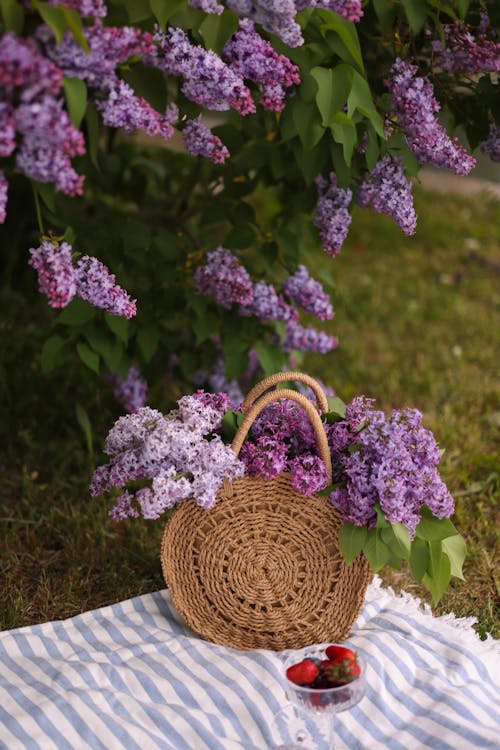 Foto d'estoc gratuïta de bossa, flors, fresc