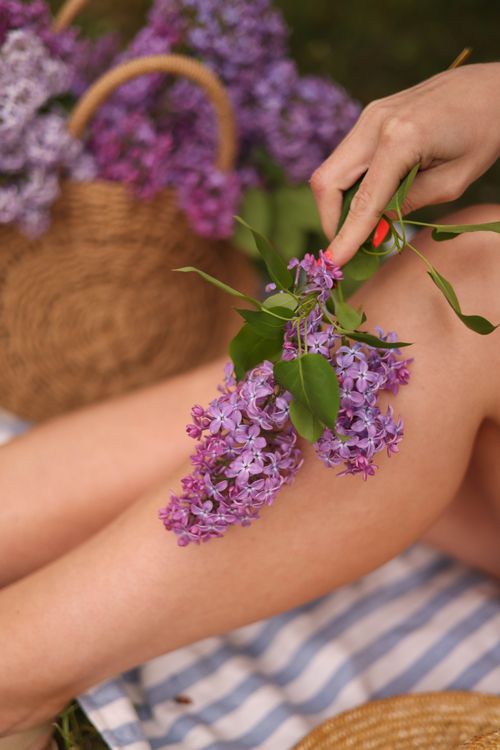 Free Close-up of a woman holding a lilac bouquet on a striped picnic blanket with a wicker basket. Stock Photo